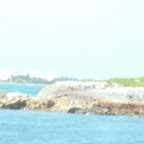 DSCF0211-2