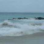 DSCF0219