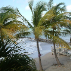 DSCF0220