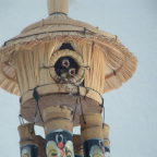 DSCF0221