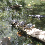 DSCF0233