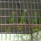 DSCF0234
