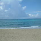 DSCF0235