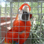 DSCF0236