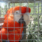 DSCF0238