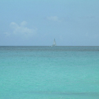 DSCF0245