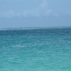 DSCF0247