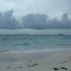 DSCF0249