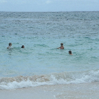 DSCF0273