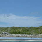 DSCF0279-2
