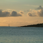 DSCF0281