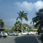 DSCF0288