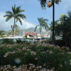 DSCF0295-2