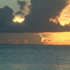 DSCF0295