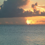 DSCF0307