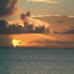 DSCF0308