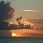 DSCF0309
