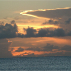 DSCF0333