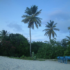 DSCF0343