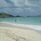 DSCF0355
