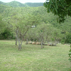 DSCF0360