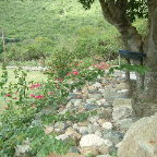 DSCF0361