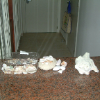 DSCF0364