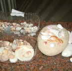 DSCF0365