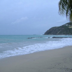 DSCF0985
