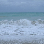 DSCF0988