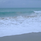 DSCF0989