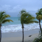 DSCF0990