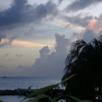 DSCF1015