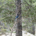 DSCF0023