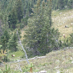 DSCF0028