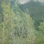 DSCF0031-2