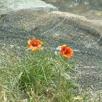 DSCF0037