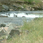 DSCF0039