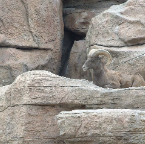 DSCF0039_1