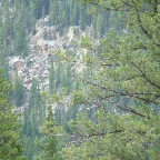 DSCF0075