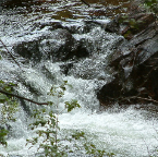 DSCF0082