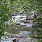 DSCF0087