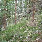 DSCF0097