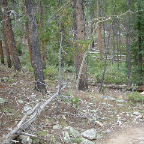 DSCF0098
