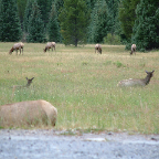 DSCF0106_1