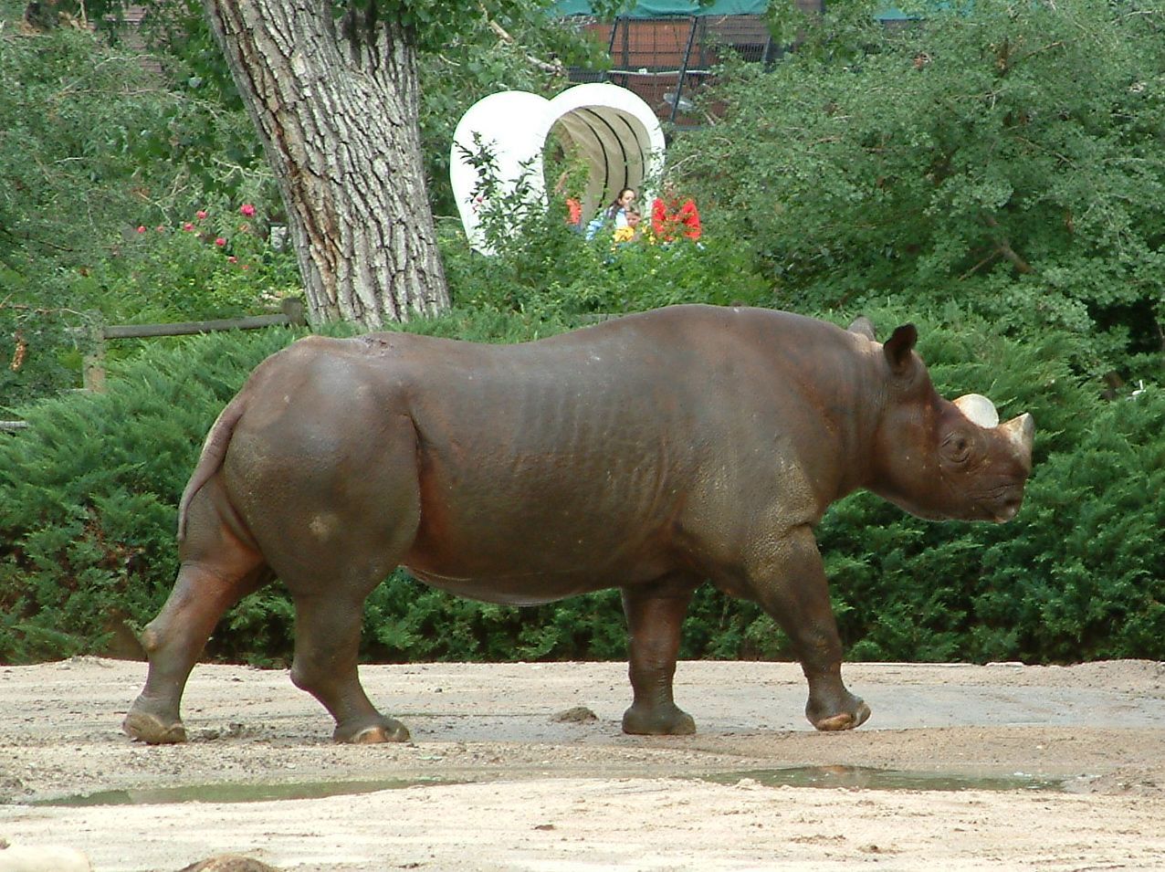 Loading Image