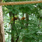 DSCF0129_1
