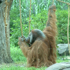 DSCF0132-2