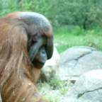 DSCF0133_1
