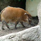 DSCF0136_1